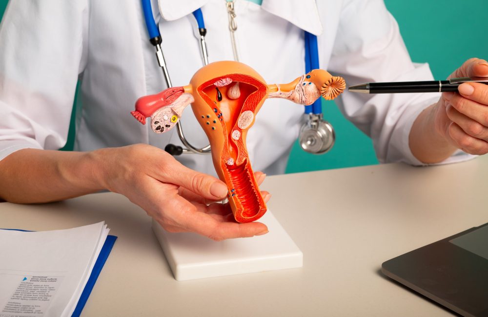 Doctor gynecologist showing pen on plastic model of uterus and ovaries closeup